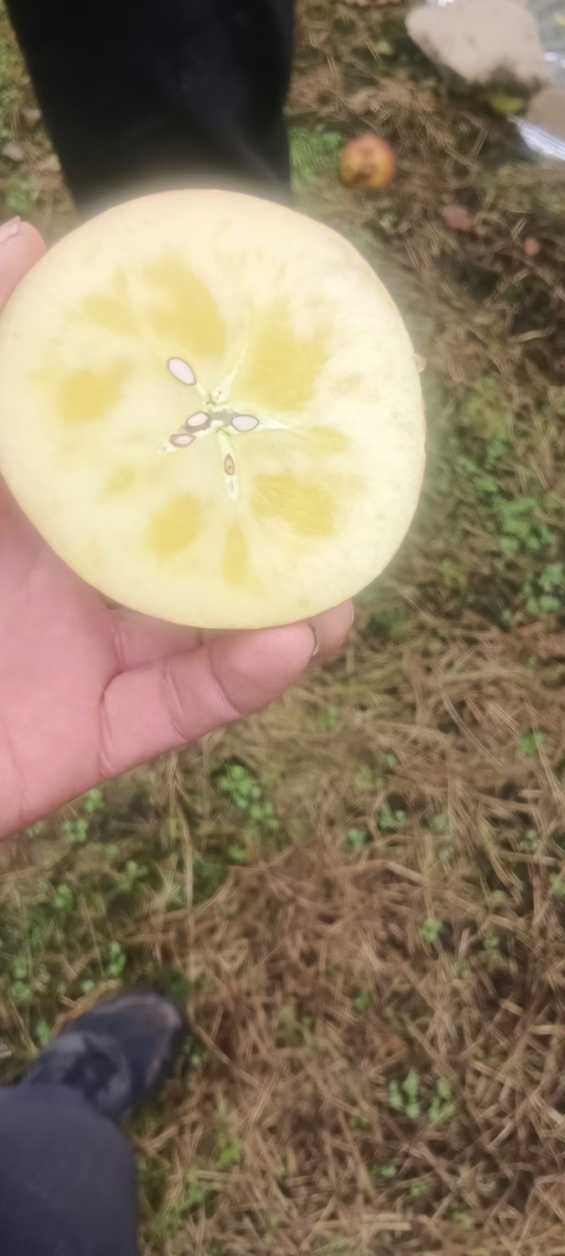 汉源糖心红富士好吃不贵量大价优产地直发一手货源