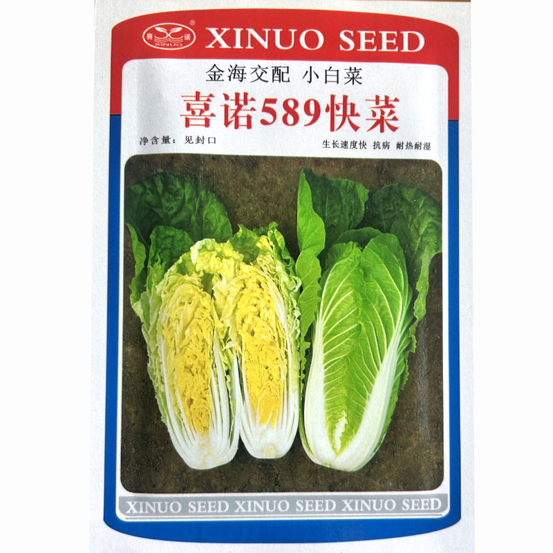喜诺589快菜种子生长快黄心35天上市纤维少四季基地