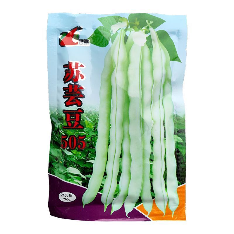芸豆种子早中熟豆角味浓