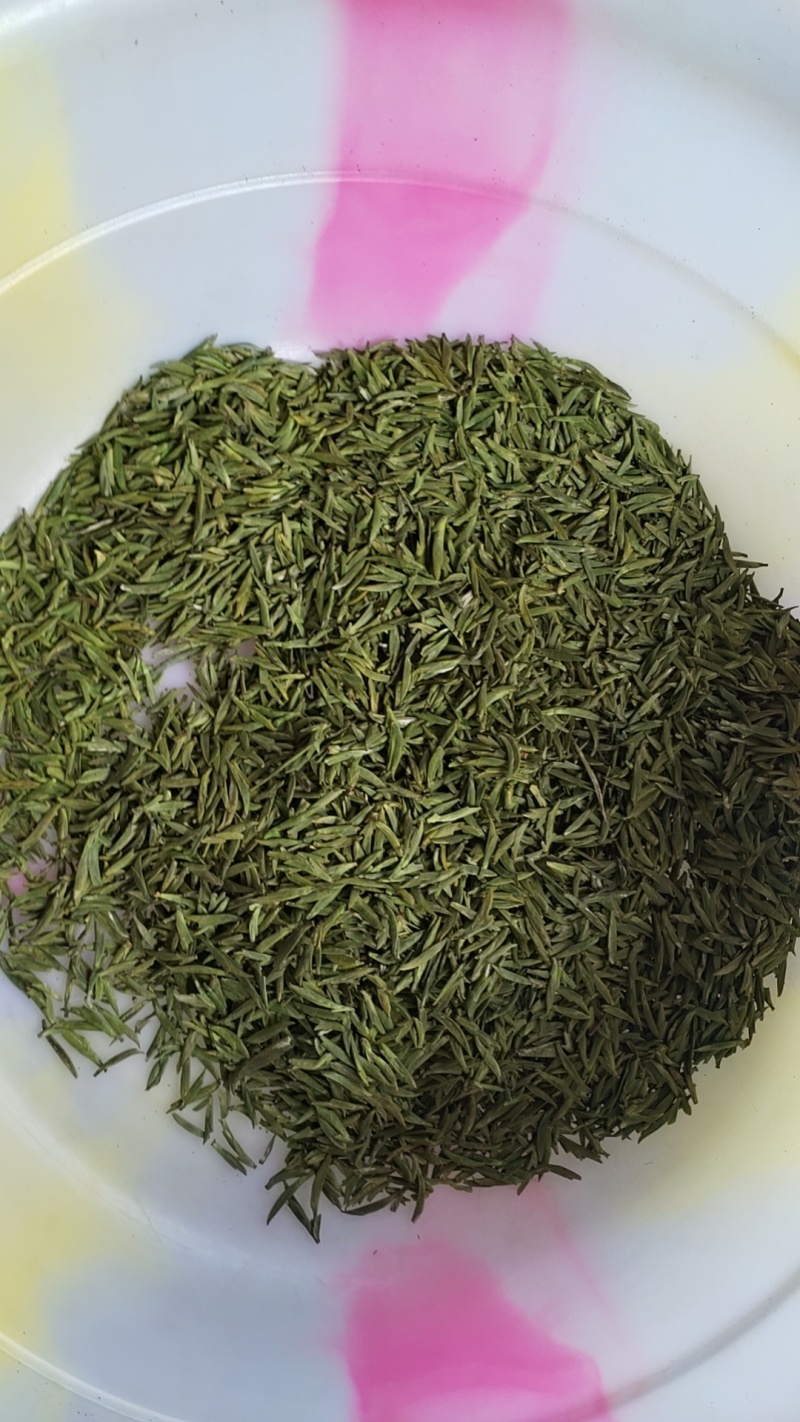 【实力推荐】茶叶雀石茶基地供应一手货源欢迎咨询采购