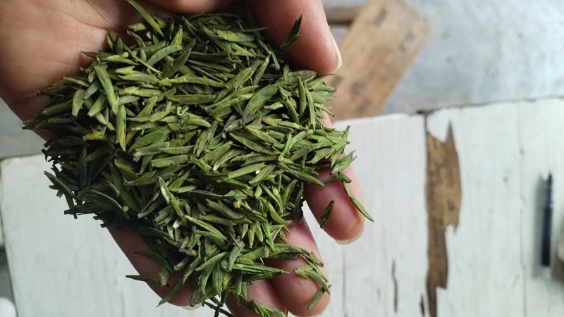【实力推荐】茶叶雀石茶基地供应一手货源欢迎咨询采购