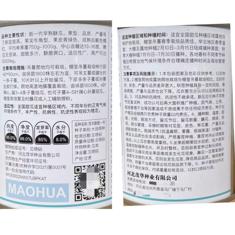 酥脆一号菜瓜种子牛角型果皮青绿甜脆多汁酥脆爽口