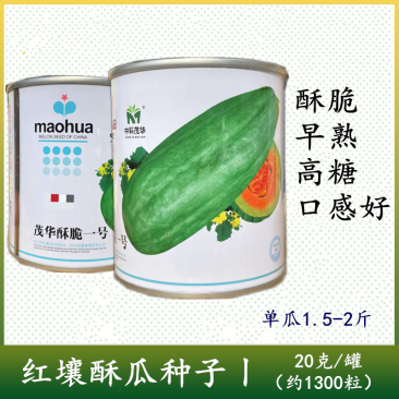 酥脆一号菜瓜种子牛角型果皮青绿甜脆多汁酥脆爽口