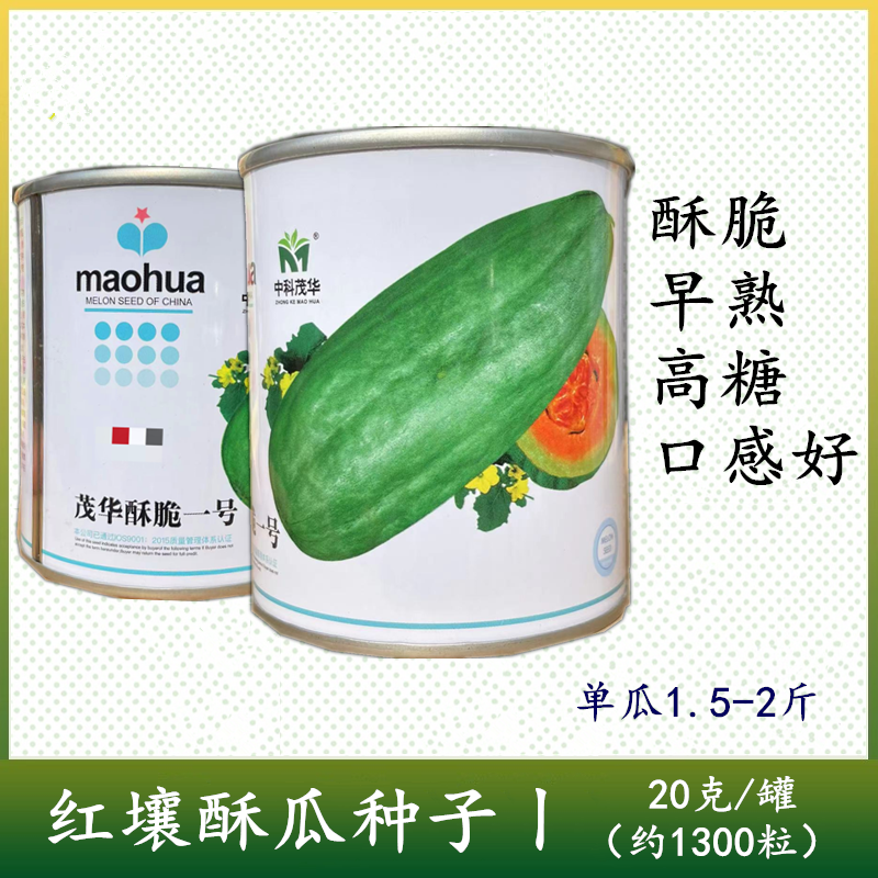 酥脆一号菜瓜种子牛角型果皮青绿甜脆多汁酥脆爽口