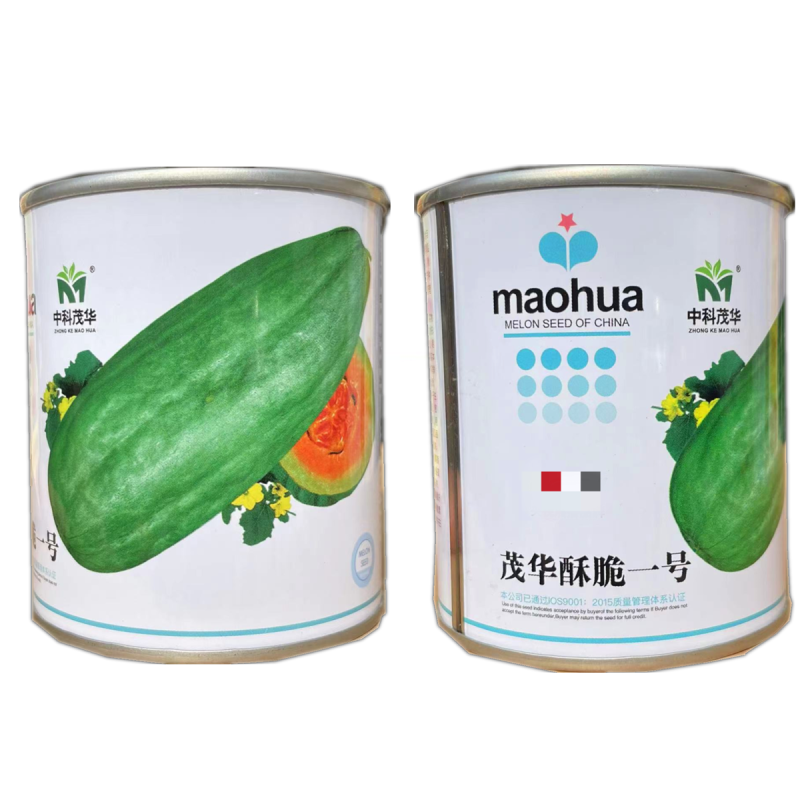 酥脆一号菜瓜种子牛角型果皮青绿甜脆多汁酥脆爽口