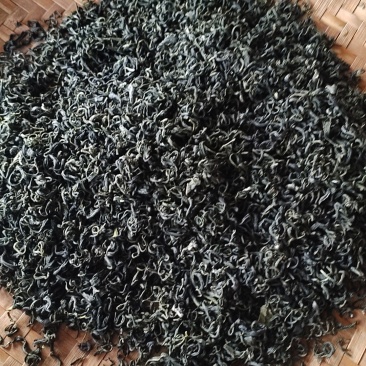 茶叶香茶基地供应量大质优价格优惠欢迎各大老板前来采购