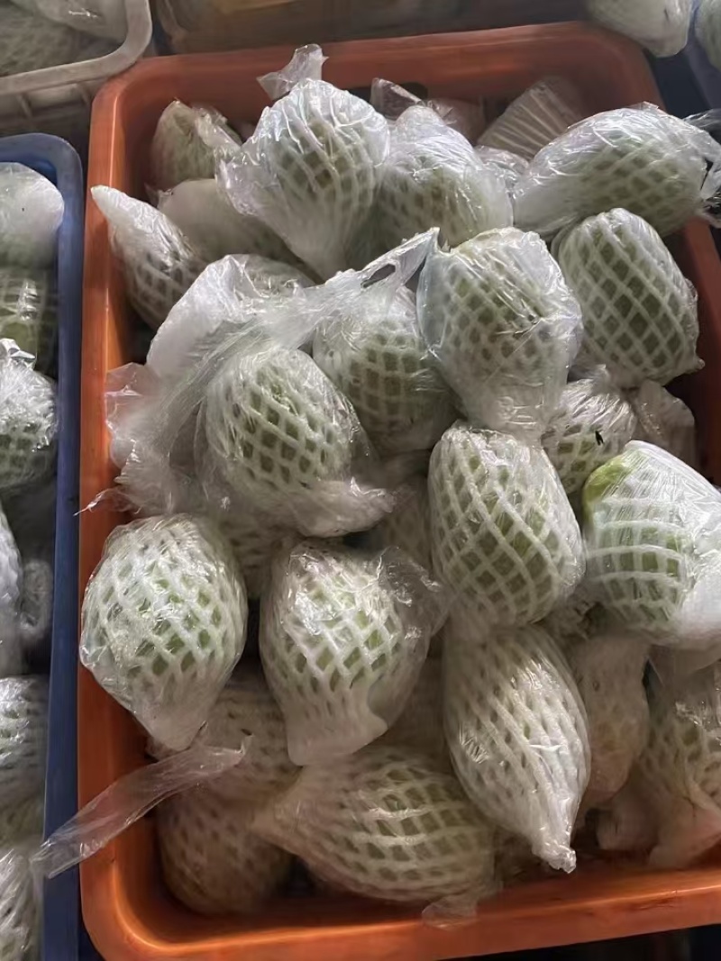 番石榴大量上市品质上乘支持视频看货也可以来电洽谈