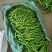 青线椒大量有货多年老店供货稳定