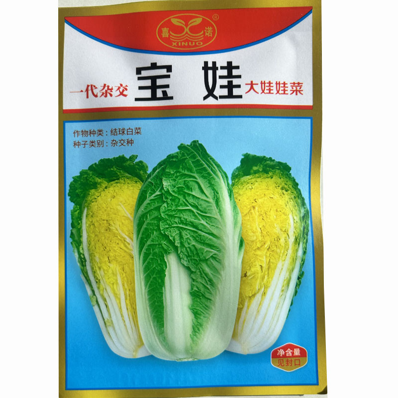 宝娃娃菜种子春季秋季四季脆嫩青岛金海抗病