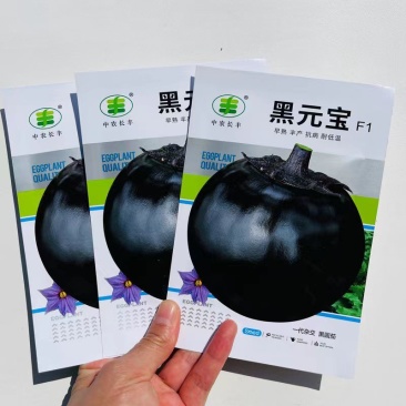 黑元宝圆茄种子早熟抗病耐寒耐热耐弱光紫黑发亮