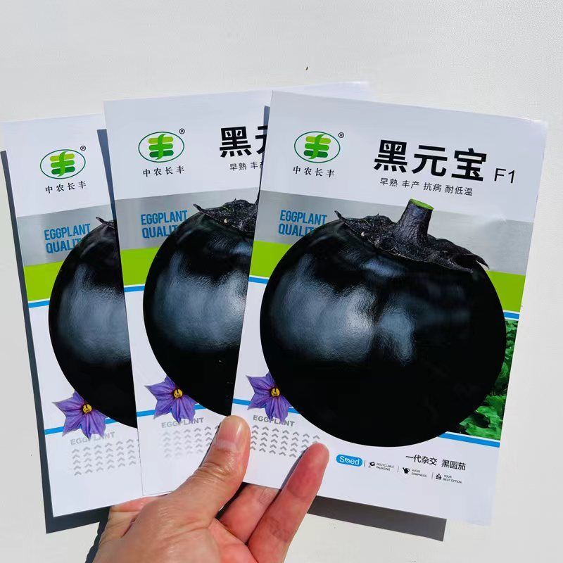 黑元宝圆茄种子早熟抗病耐寒耐热耐弱光紫黑发亮