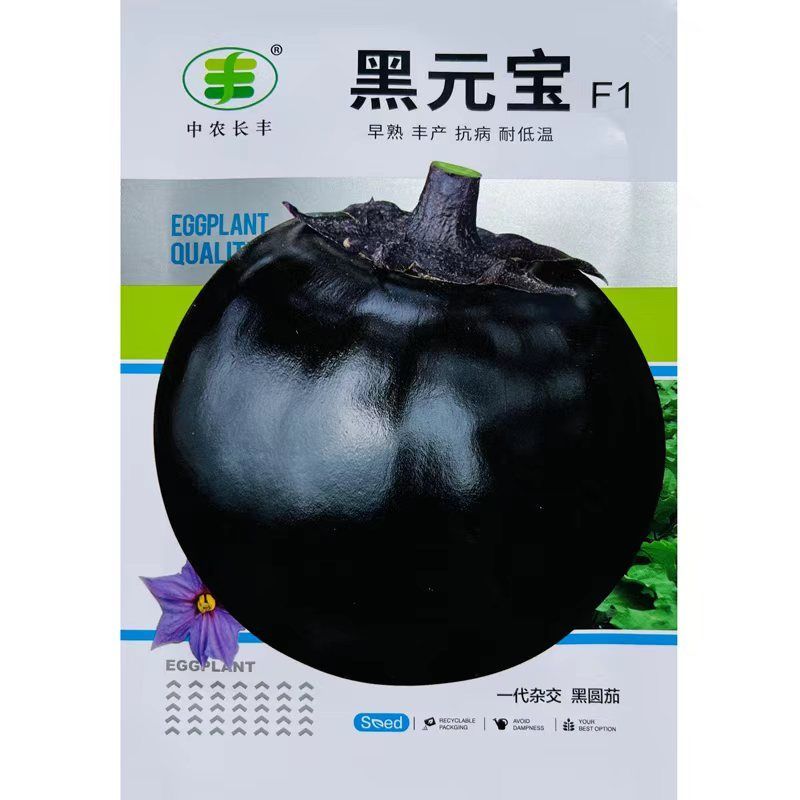 黑元宝圆茄种子早熟抗病耐寒耐热耐弱光紫黑发亮