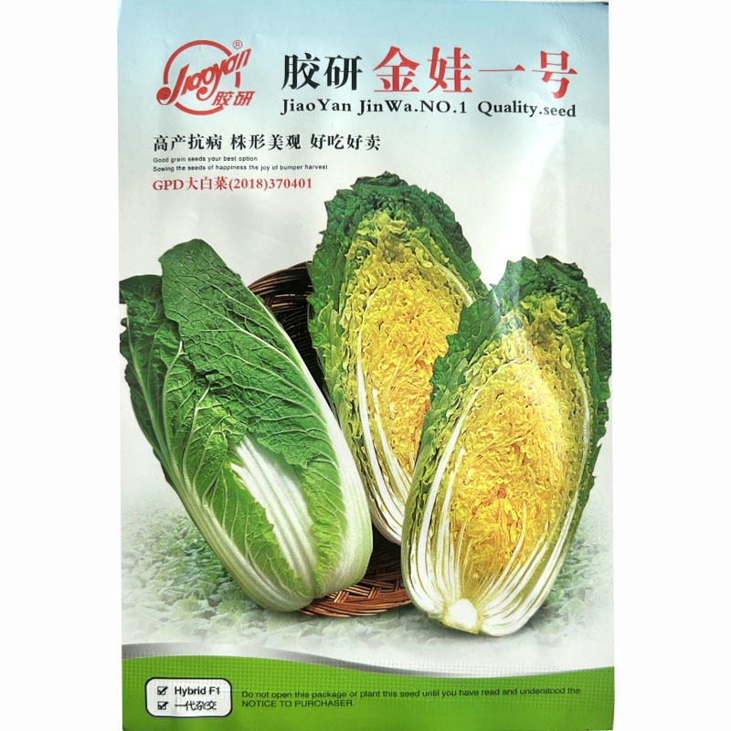 娃娃菜种子胶研金娃一号娃娃菜小白菜种子球紧实春秋