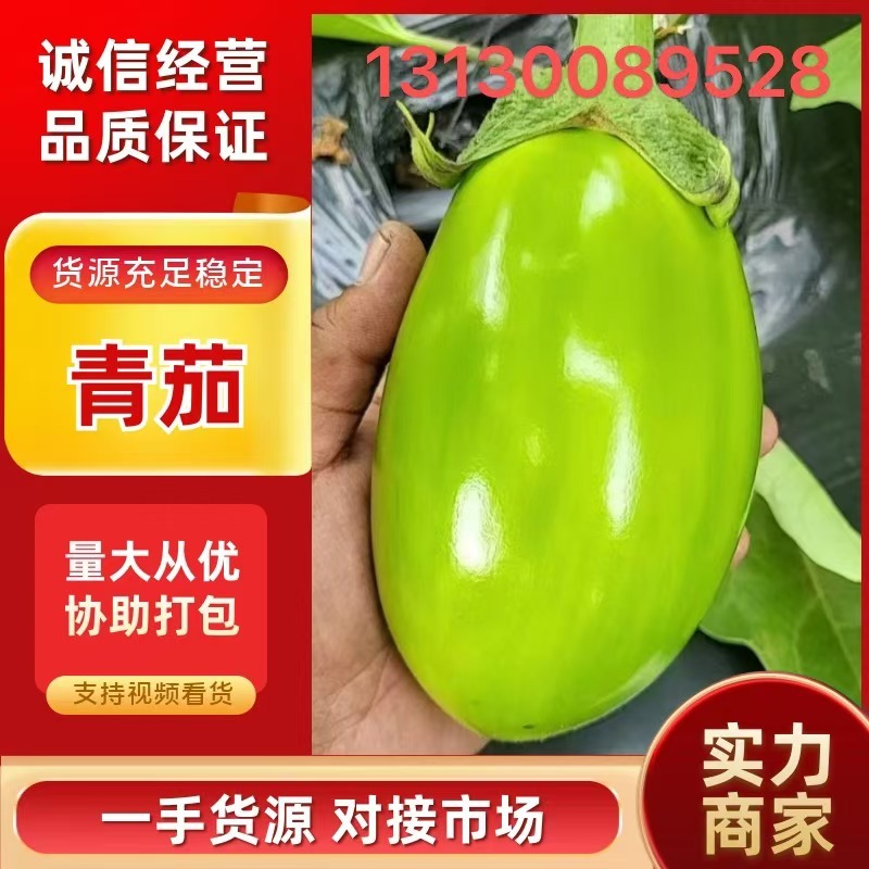 推荐】精品青茄，辽宁海城高温棚青茄大量上市产地直销