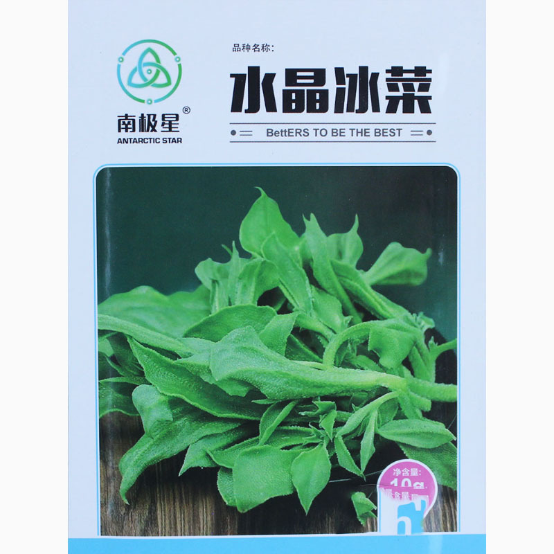 冰菜种子特菜冰草籽种籽非洲新鲜蔬菜水果冰草种籽