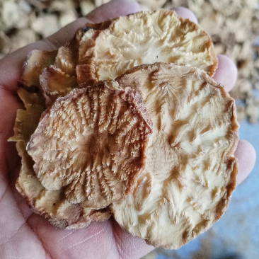 肉苁蓉切片新疆特产软质油苁蓉圆切片泡茶泡水喝沙漠宝包邮批