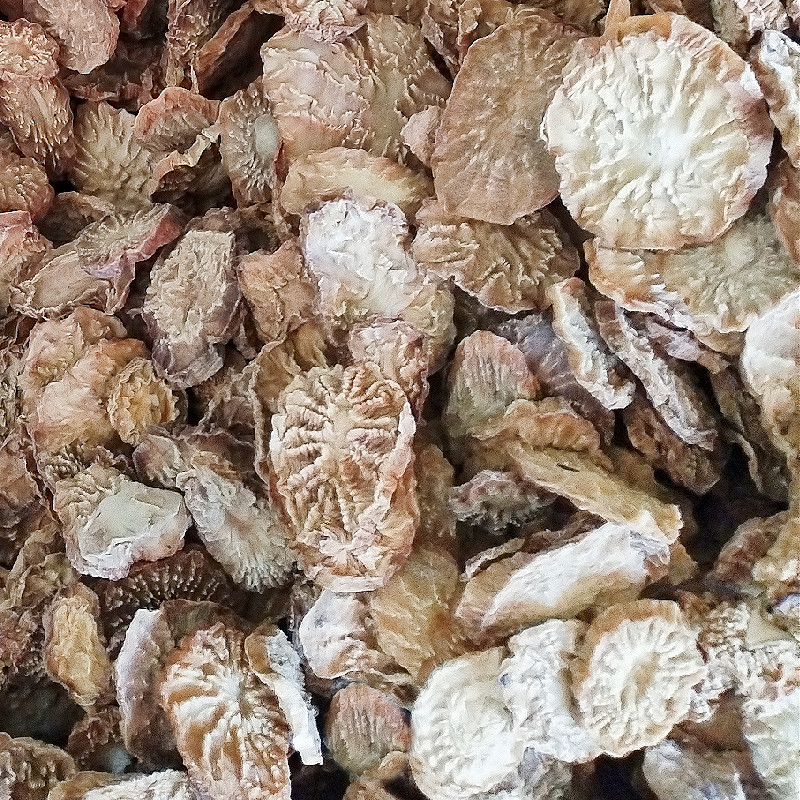 肉苁蓉切片新疆特产软质油苁蓉圆切片泡茶泡水喝沙漠宝包邮批
