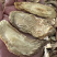 肉苁蓉切片新疆特产软质油苁蓉圆切片泡茶泡水喝沙漠宝包邮批