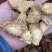 肉苁蓉切片新疆特产软质油苁蓉圆切片泡茶泡水喝沙漠宝包邮批