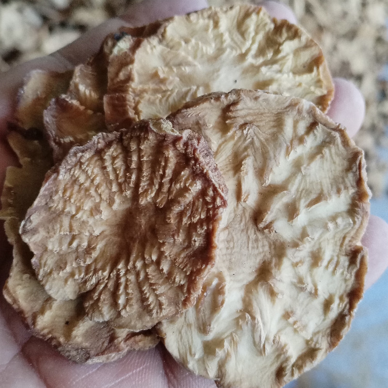 肉苁蓉切片新疆特产软质油苁蓉圆切片泡茶泡水喝沙漠宝包邮批