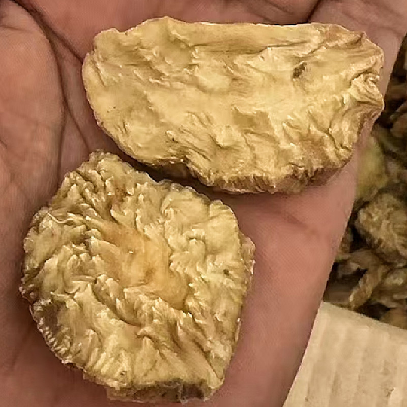 肉苁蓉切片新疆特产软质油苁蓉圆切片泡茶泡水喝沙漠宝包邮批