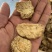 肉苁蓉切片新疆特产软质油苁蓉圆切片泡茶泡水喝沙漠宝包邮批