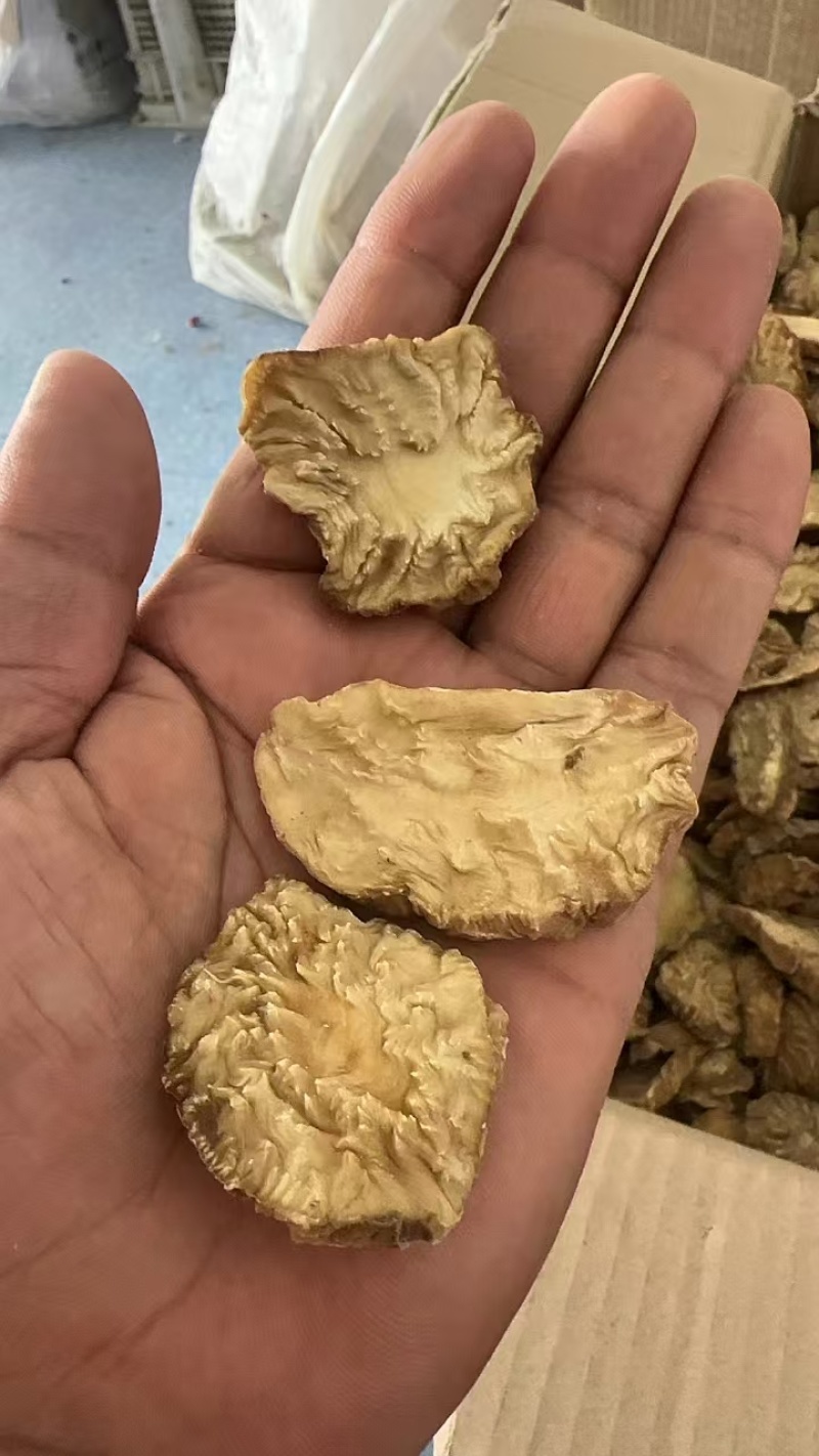 肉苁蓉切片新疆特产软质油苁蓉圆切片泡茶泡水喝沙漠宝包邮批