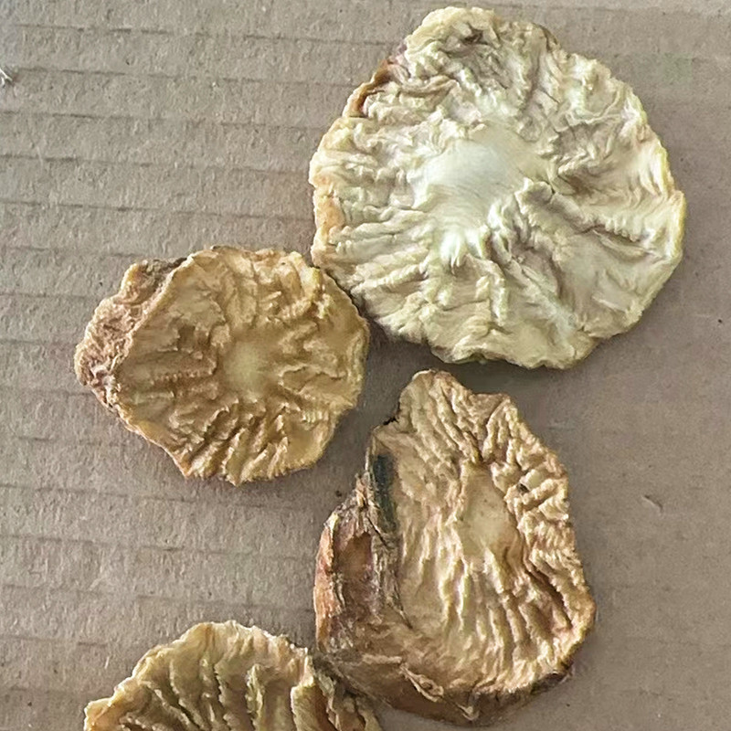 肉苁蓉切片新疆特产软质油苁蓉圆切片泡茶泡水喝沙漠宝包邮批
