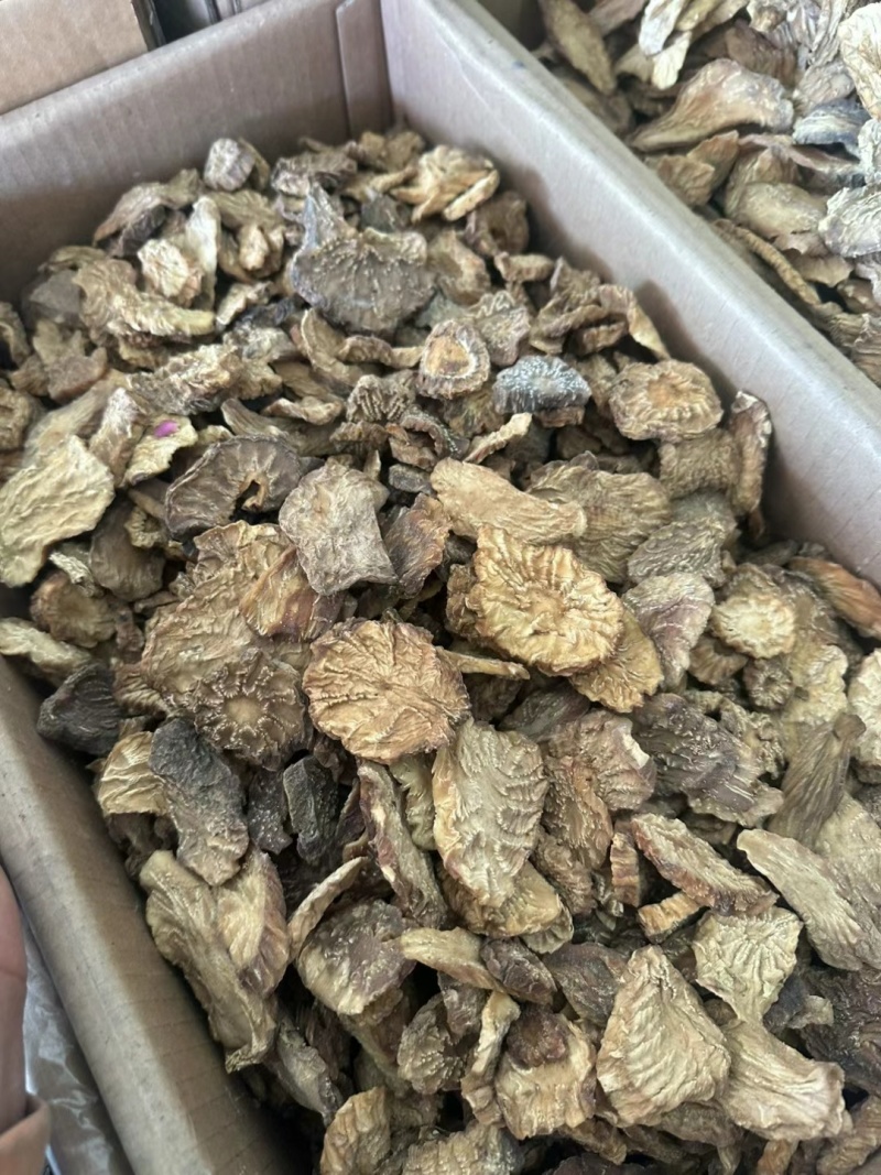 肉苁蓉切片新疆特产软质油苁蓉圆切片泡茶泡水喝沙漠宝包邮批