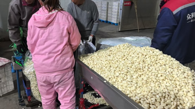 山东精品蒜米工厂直发对接各种市场食品厂可长期合作