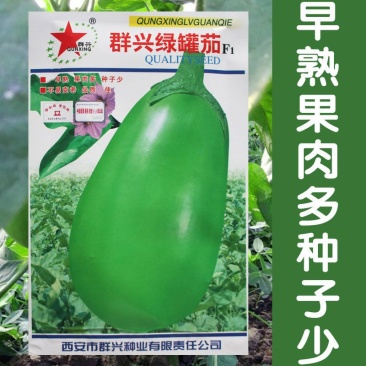 群兴绿罐茄种子早熟果色深绿果肉多耐老化