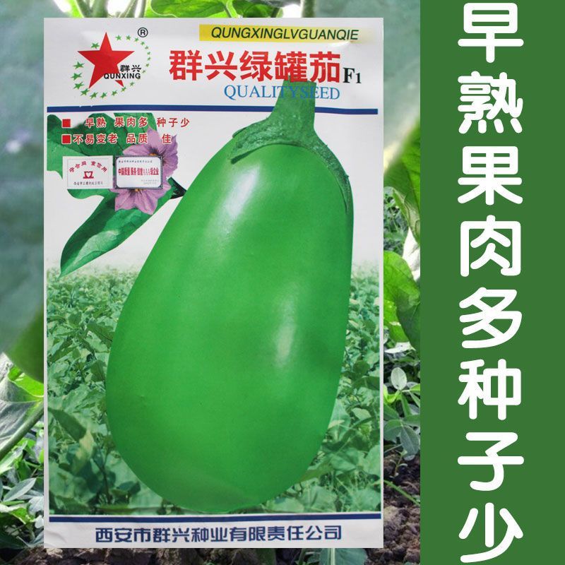 群兴绿罐茄种子早熟果色深绿果肉多耐老化