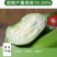 群兴绿罐茄种子早熟果色深绿果肉多耐老化