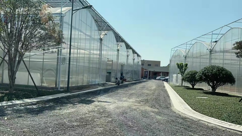 大棚温室骨架量大质优价格优惠一手货源
