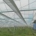 大棚温室骨架量大质优价格优惠一手货源