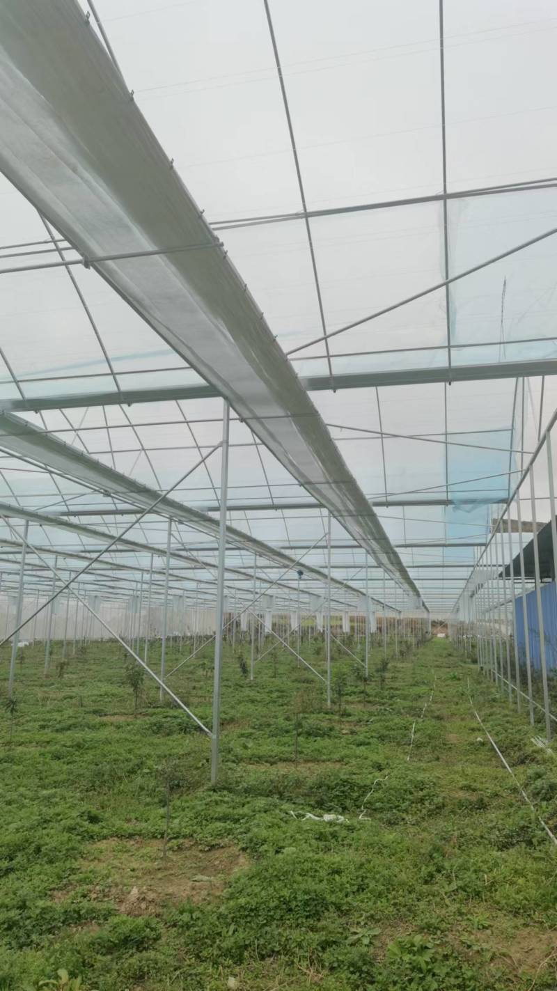 大棚温室骨架量大质优价格优惠一手货源