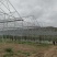 大棚温室骨架量大质优价格优惠一手货源