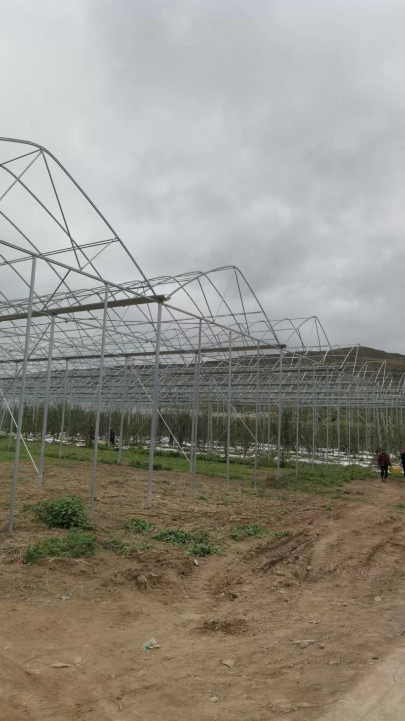 大棚温室骨架量大质优价格优惠一手货源