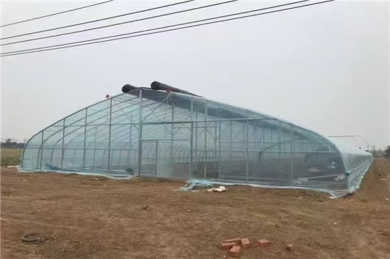 大棚温室骨架量大质优价格优惠一手货源
