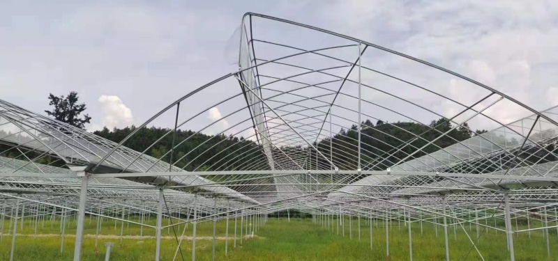 大棚温室骨架量大质优价格优惠一手货源