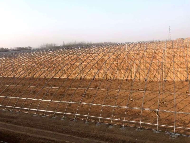 大棚温室骨架量大质优价格优惠一手货源