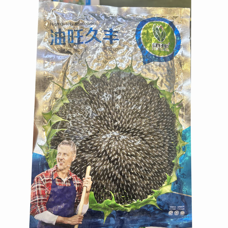 油旺久丰油葵种子抗病耐盐碱含油亮高抗倒伏