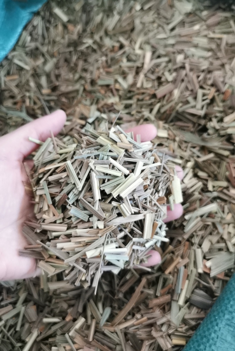 中药材香茅草香芋柠檬草食品级柠檬香芧厨房用足干