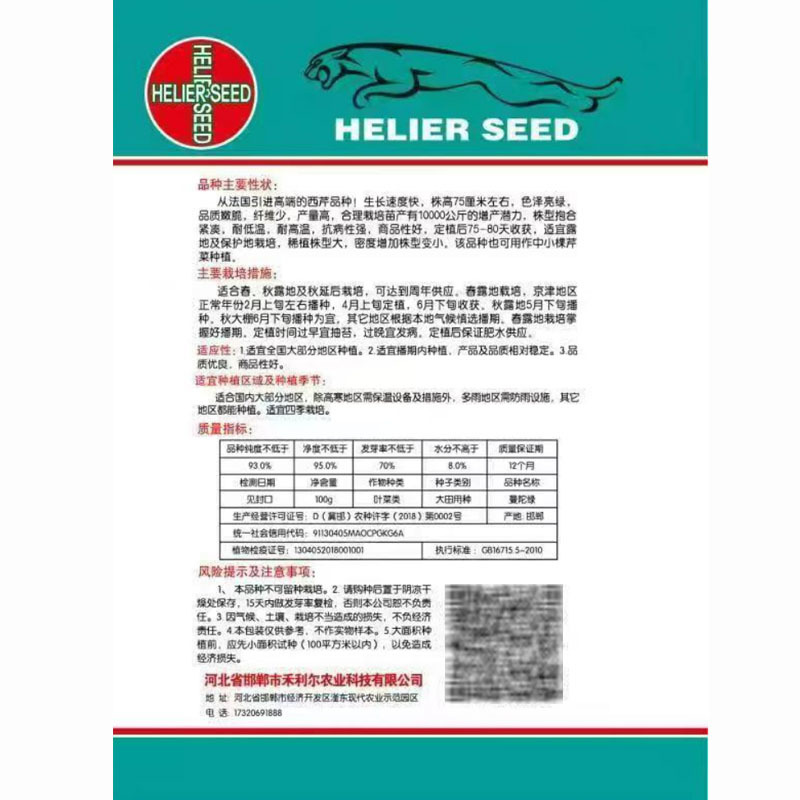 曼陀绿西芹种子法国选育实心色泽亮绿脆嫩生长速度快