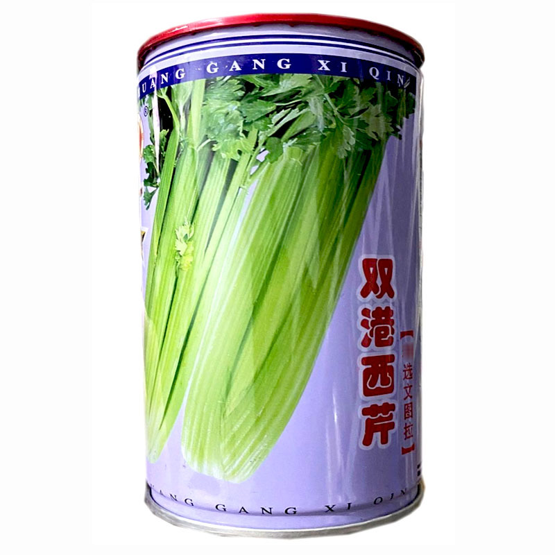 文图拉西芹菜种子津南实心芹天津双港杂交耐热四季西芹
