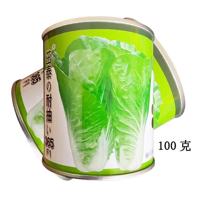 茁泰耐抽365快菜种子口感好耐热耐寒四季播种小白菜