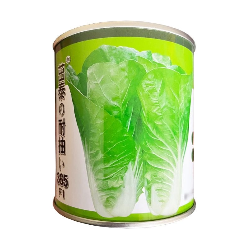 茁泰耐抽365快菜种子口感好耐热耐寒四季播种小白菜