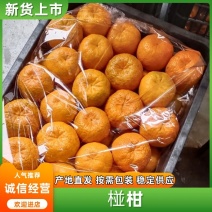 湖南椪柑标志性产区，果大脆甜硬度好，果面颜色鲜红气味芳香