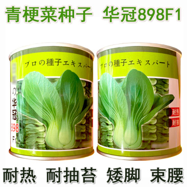 华冠898青梗菜种子耐抽薹矮脚束腰生长快35天上市