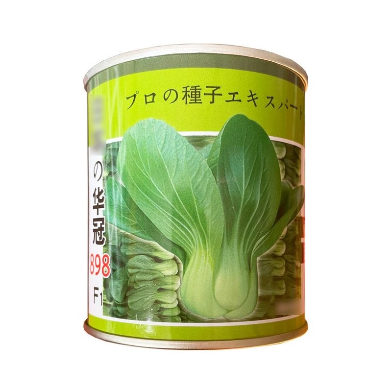 华冠898青梗菜种子耐抽薹矮脚束腰生长快35天上市